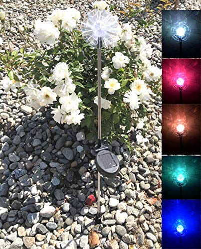 Solar Powered Garden Stake Lights - 2 Pack Color Changing & White LED Landscape Path Lights for Outdoor Decoration (Hydrangea Flower Design) | Perfect for Walkways, Patios, and Backyard Decor