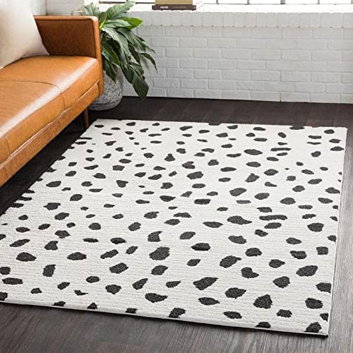 Mark&Day 5x7 Aadhya Global Black & White Area Rug - Soft Modern Carpet for Living Room, Bedroom, Kitchen - Perfect for Home Decor & High Traffic Areas (5'3