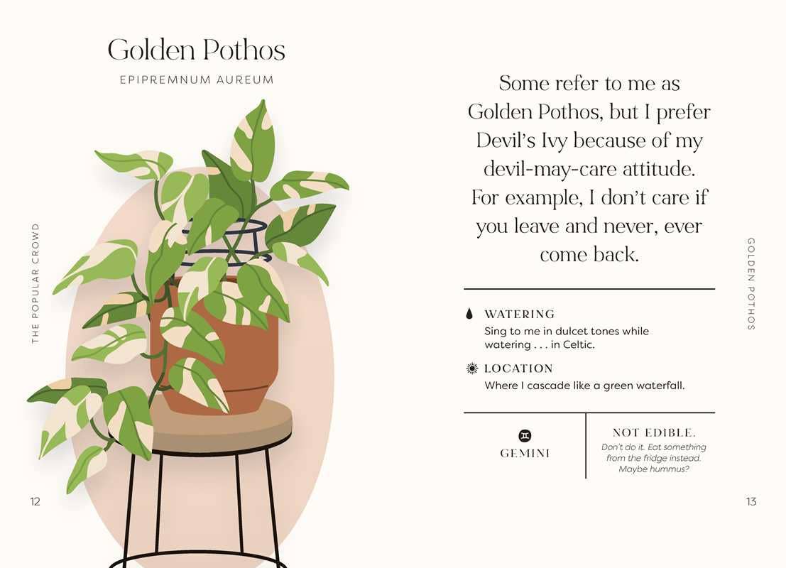 Houseplants and Their Fucked Up Thoughts by Carlyle Christoff - Funny Plant Lover Gifts, Unique Home Decor for Plant Parents, Perfect for Indoor Gardening Enthusiasts and Houseplant Decor