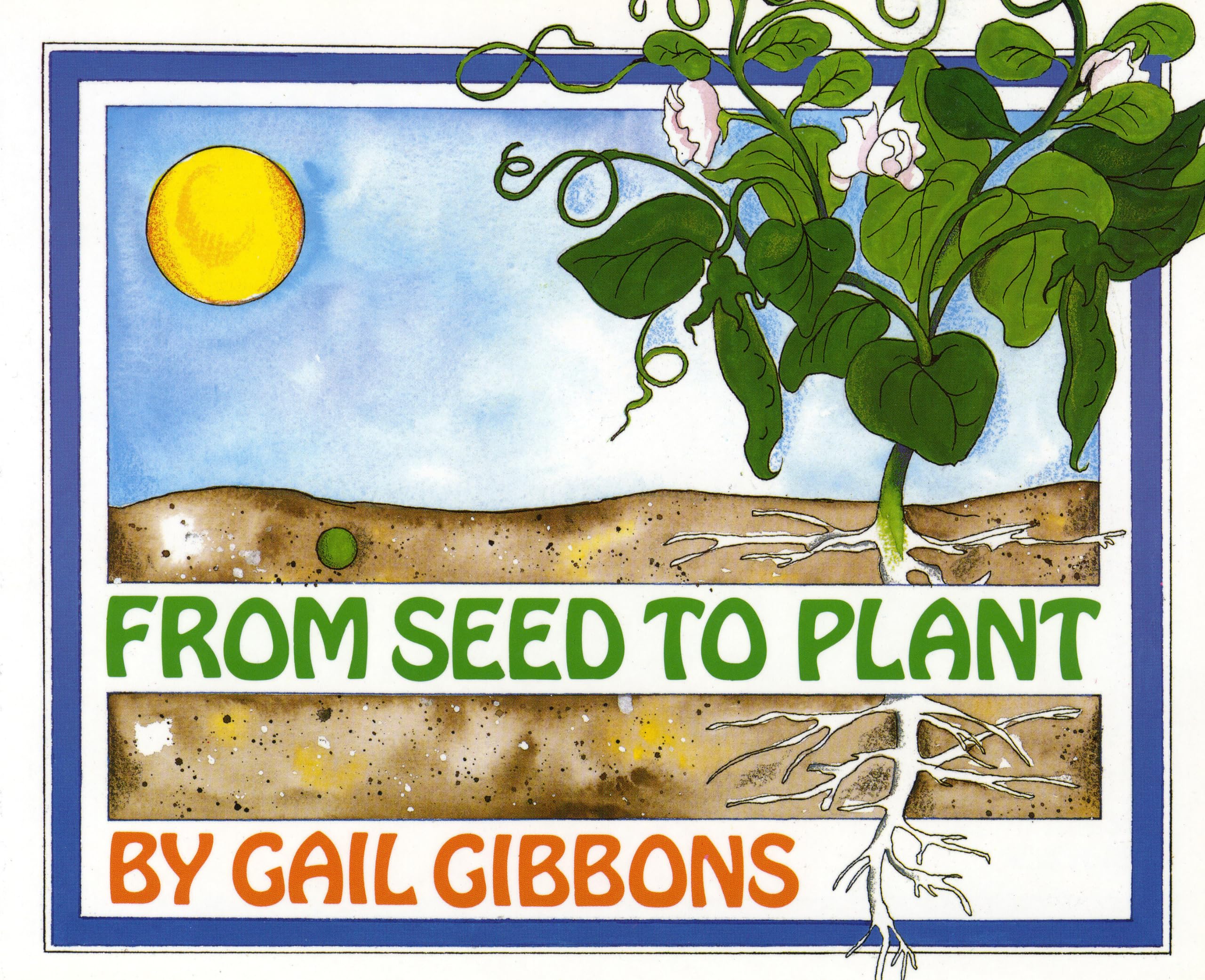 From Seed to Plant - Complete Gardening Kit for Growing Healthy Plants at Home | Perfect for Indoor Herb Gardens, Vegetable Patches & Classroom Science Projects