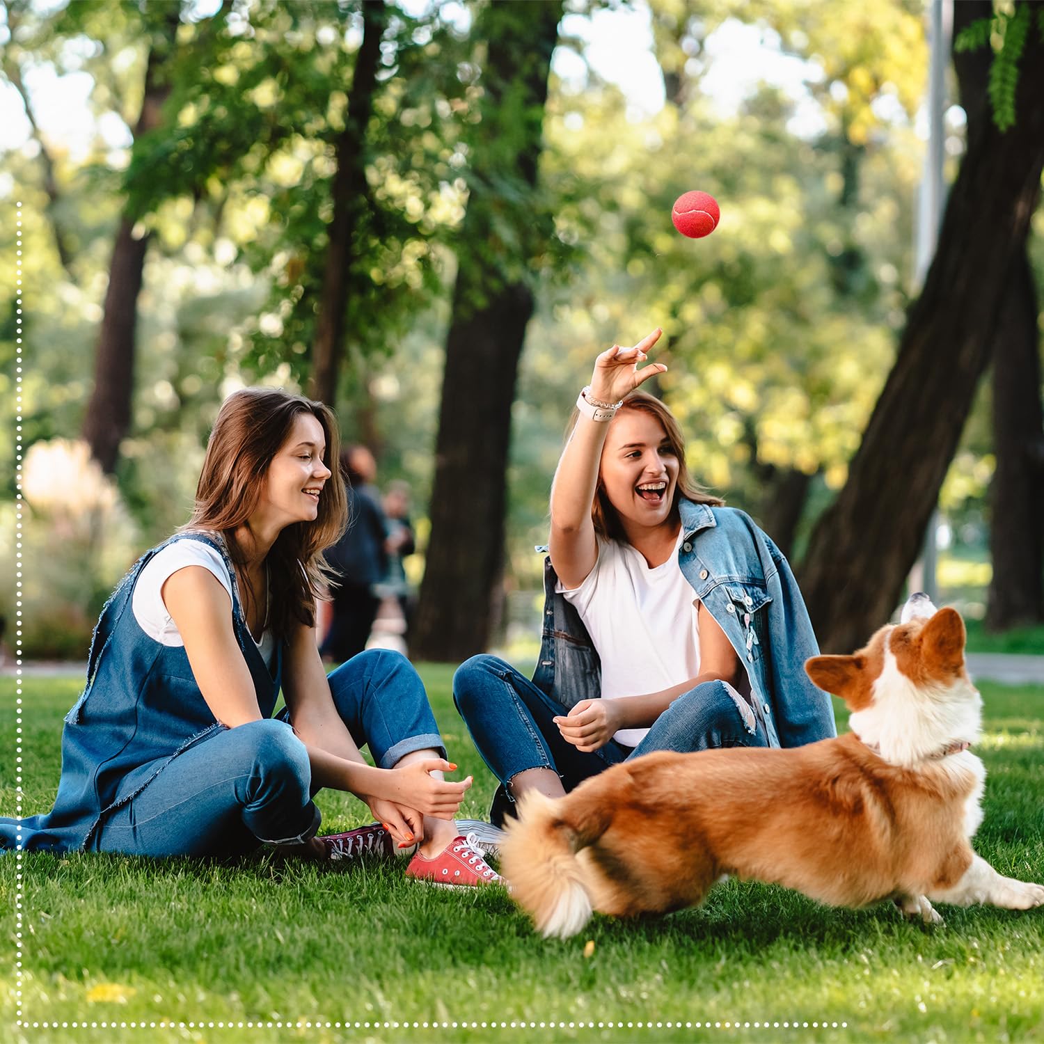 Pacific Pups Dog Toys - 6 Pack Tennis & Squeaky Balls for Small & Medium Dogs - Chew-Proof Treat Dispensing Toys for Indoor & Outdoor Play, Training & Fetch Games
