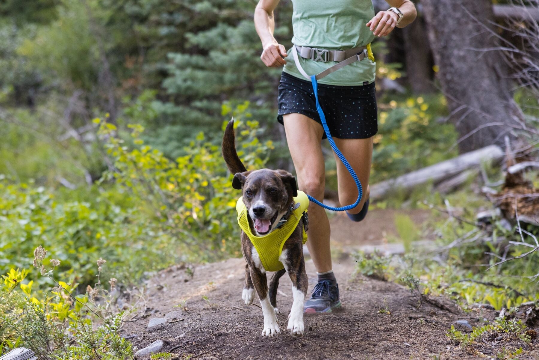 Ruffwear Dog Running Vest - Reflective Trail Runner Harness for Dogs in High-Visibility Lichen Green - Perfect for Hiking, Jogging & Outdoor Adventures