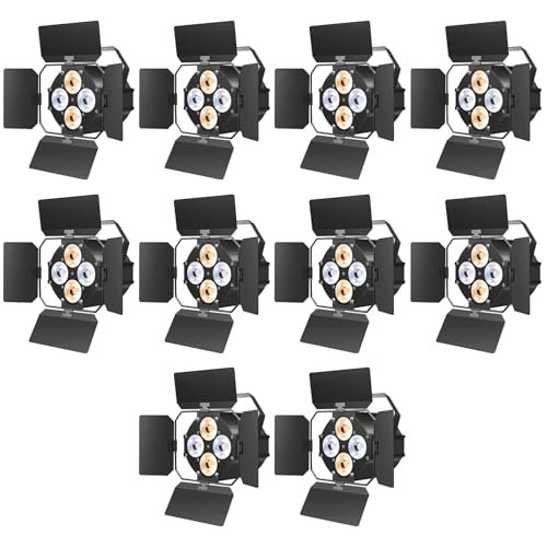 10 PCS
