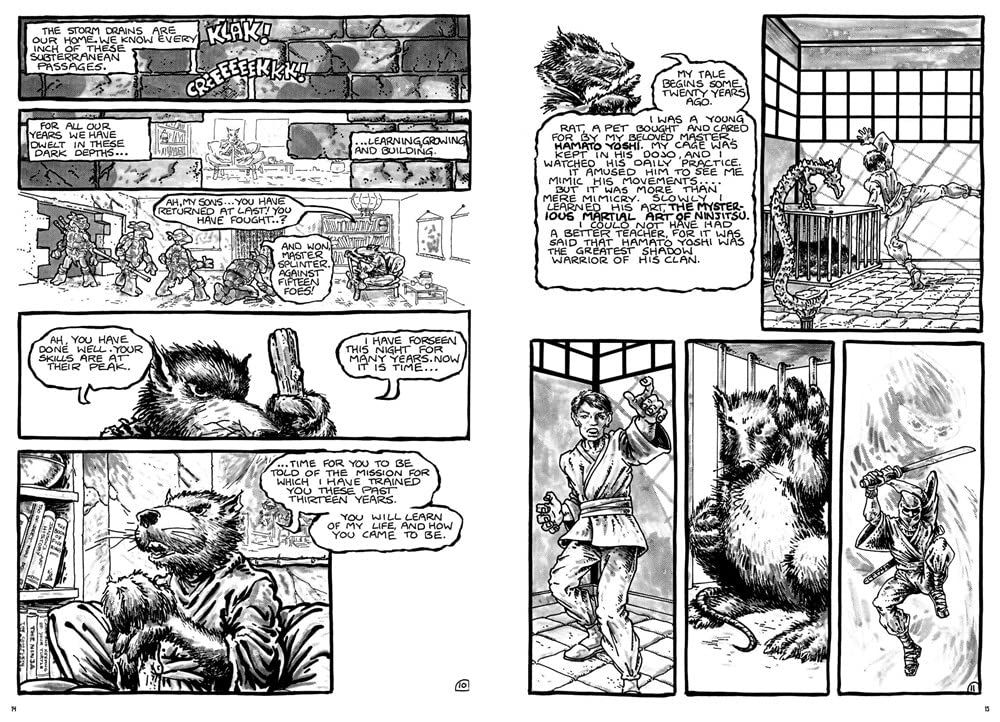 Teenage Mutant Ninja Turtles Compendium Vol. 1 - TMNT Graphic Novel Collection | Perfect for Comic Book Fans & Collectors | Great Gift for Teenagers & Adults