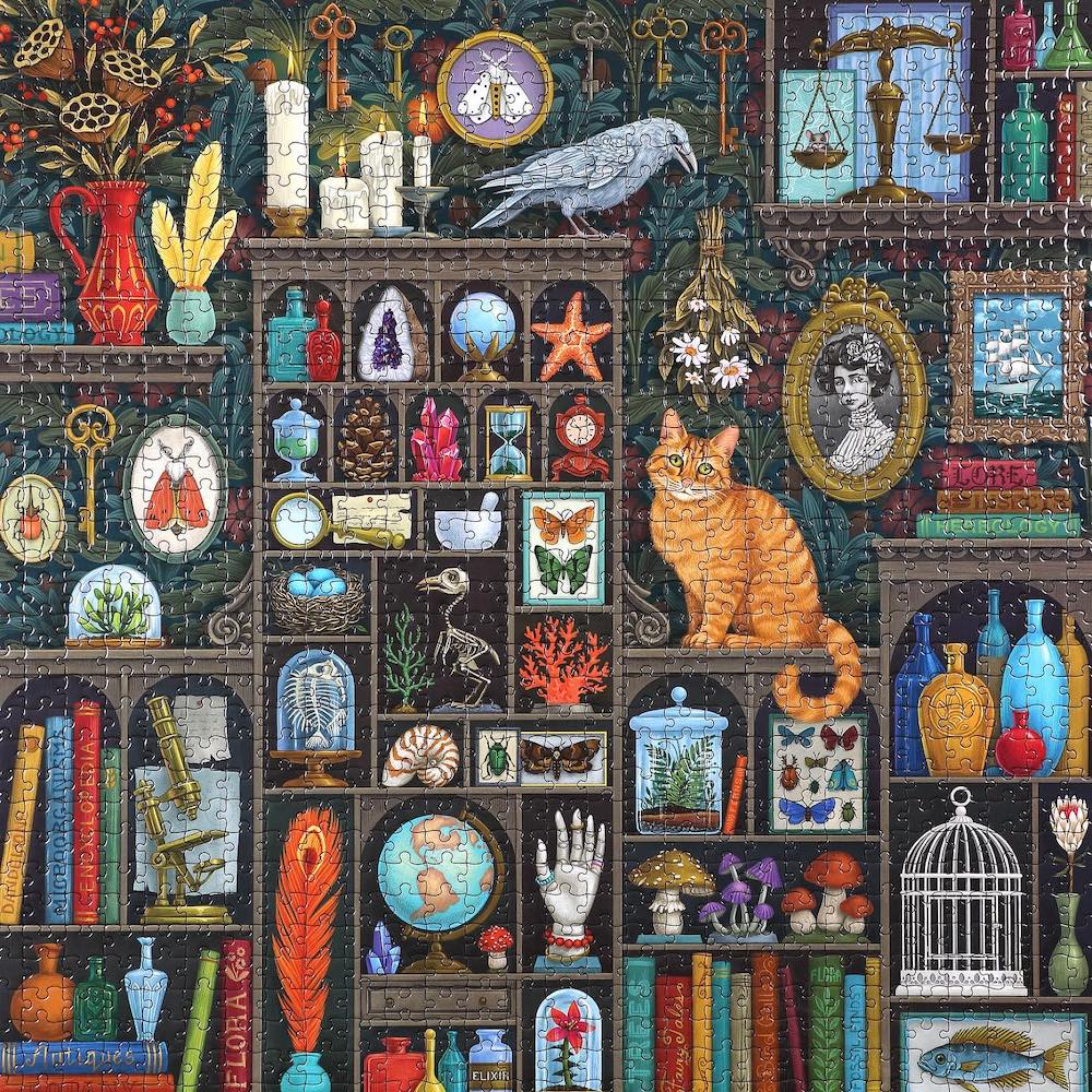 eeBoo Alchemists Cabinet 1000 Piece Jigsaw Puzzle - Challenging Adult Puzzle for Home Decor & Relaxation