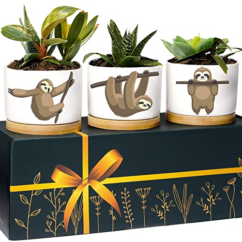 Sloth Planters