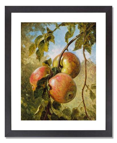 Thomas Worthington Whittredge Apples - Premium Fresh Apples for Baking, Snacking & Gifting - Healthy Organic Fruit for Home, Office & Holiday Celebrations
