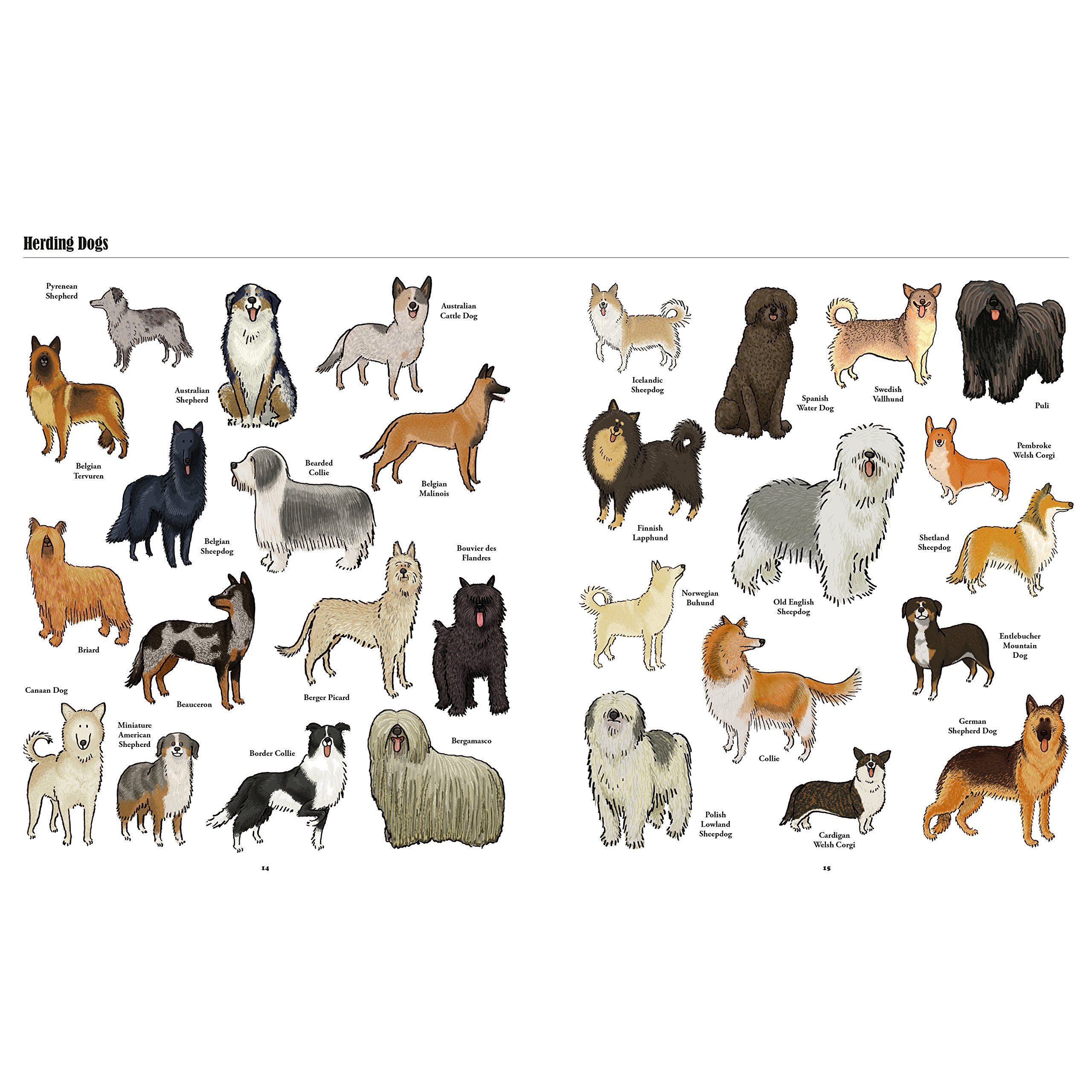 Big Dogs, Little Dogs: A Visual Guide to The World's Dog Breeds | Perfect for Dog Lovers, Pet Owners & Breed Identification