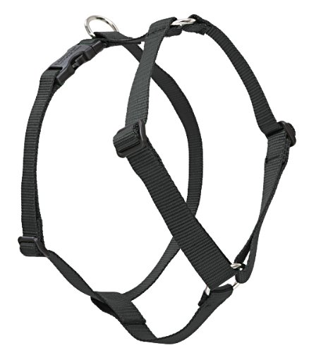 LupinePet Basics 1 Inch Black Adjustable Roman Dog Harness 24-38 Inch for Large Dogs - Perfect for Walking, Training, and Outdoor Adventures with Your Pet