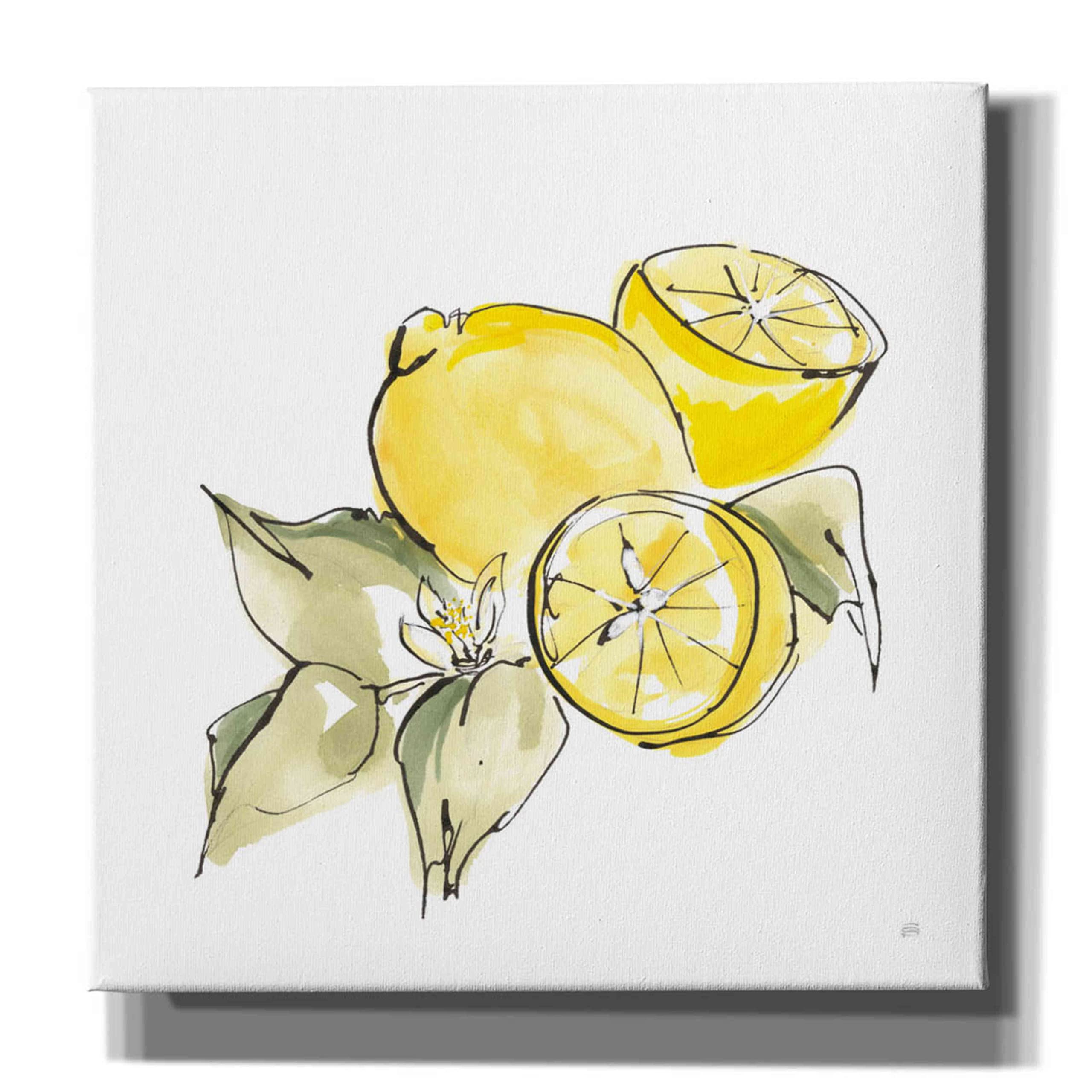 Chris Paschke 'Lemon Still Life I' Giclee Canvas Wall Art - 26x26 Inches Modern Home Decor for Living Room, Bedroom & Office | High Quality Fine Art Print