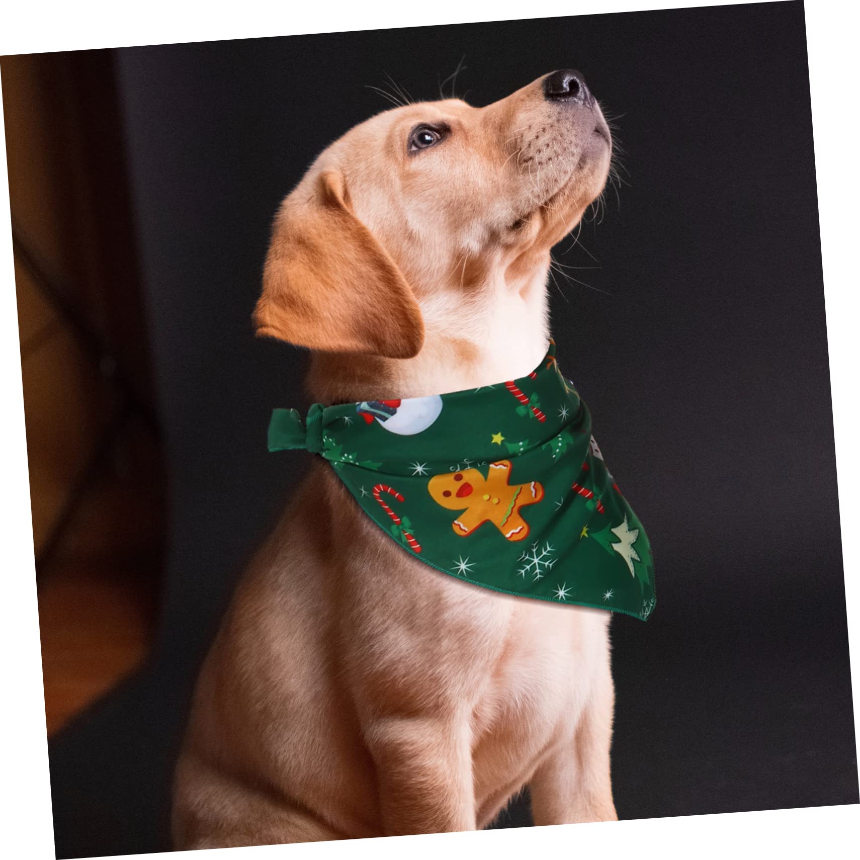 4 Pcs Pet Bandanas - Dog Scarf for Christmas & Daily Use