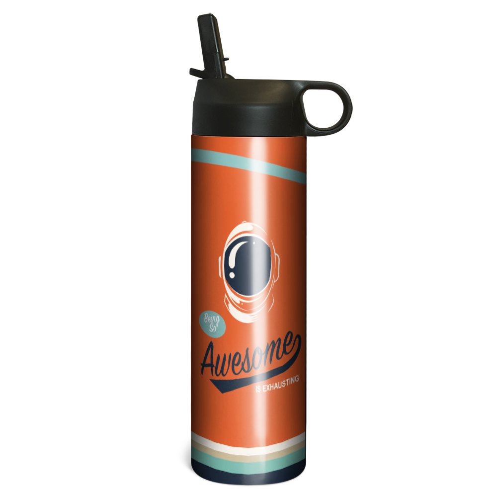 Tree-Free Greetings Retro Vacuum-Insulated Stainless Steel Sportiva Tumbler with Straw - 17oz Leakproof Travel Mug for Coffee, Tea & Cold Drinks - Perfect for Gym, Office & Outdoor Adventures