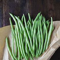 Premium Blue Lake Bush Green Bean Seeds - 1/2 lb Pack | Non-GMO, High-Yield Vegetable Seeds for Home Gardening, Canning & Fresh Eating | Perfect for Backyard Gardens, Raised Beds & Container Planting