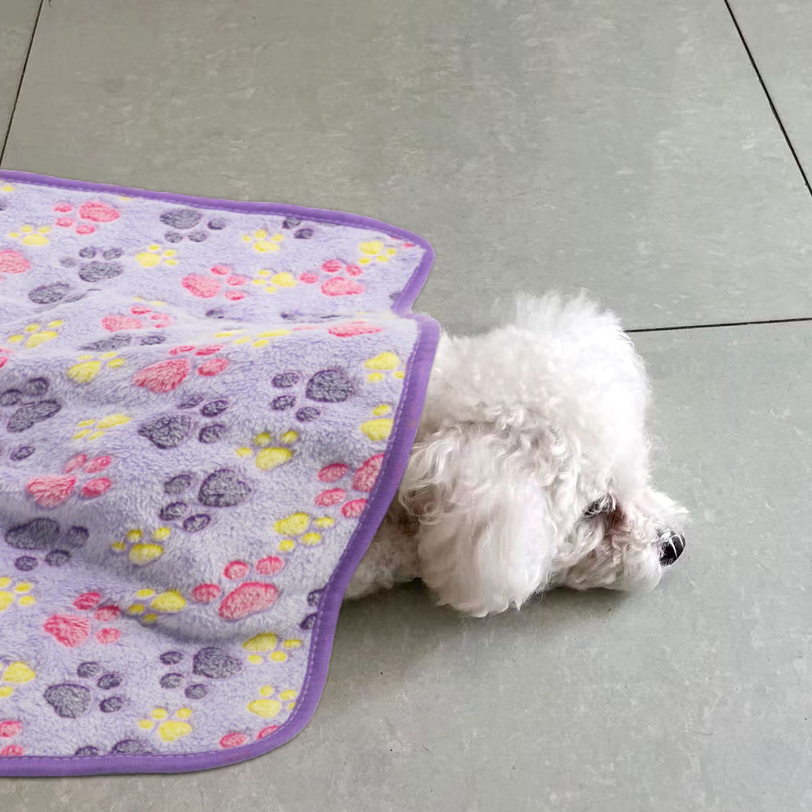 6 Pack Soft Flannel Pet Blankets for Small Dogs & Cats - Super Warm Paw Print Fleece Throw, 29