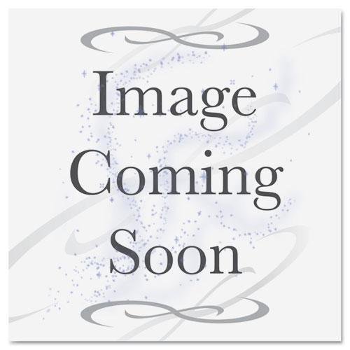 Premium WNA RSM101210WS 10.25-Inch White Plastic Plates with Silver Accents - Round Disposable Dinner Plates (120-Pack) - Perfect for Parties, Weddings, Catering & Outdoor Events