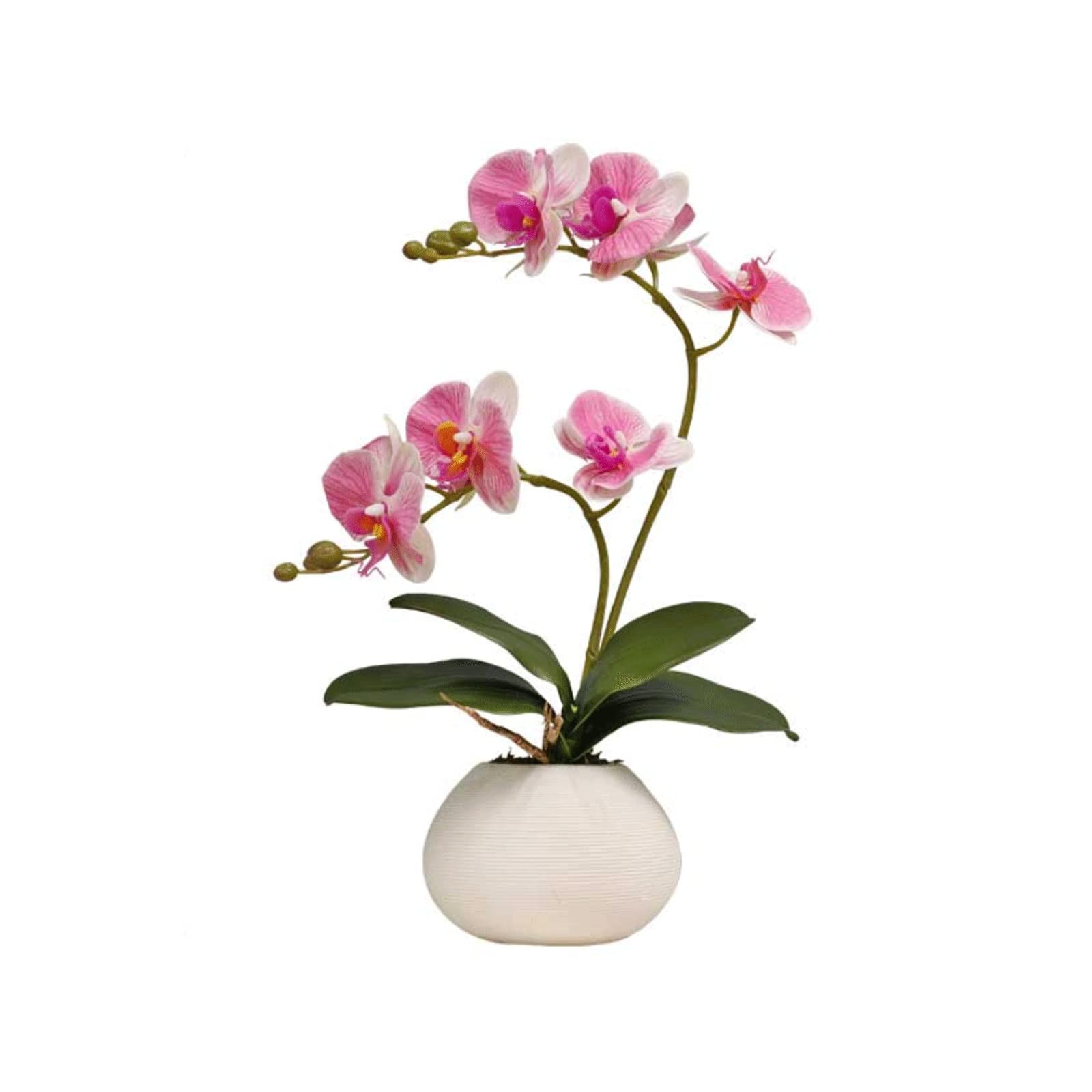 ZLASS Artificial Phalaenopsis Orchid Potted Plant - Realistic Fake Flowers for Home, Office, Wedding & Party Decor - Lifelike Green Plants in Decorative Pot for Indoor Spaces, Table Centerpieces & Shelf Displays
