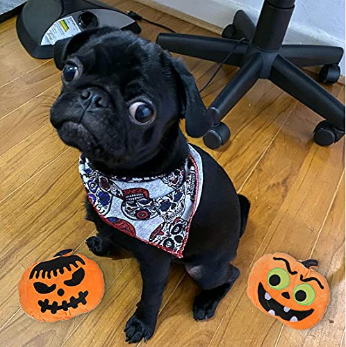 **BoomBone Halloween Dog Toy - Pumpkin Plush Squeaky Chew Toy for Small & Large Dogs | Fun Holiday Gift for Pets & Playtime**    (Note: This optimized title includes relevant keywords like 
