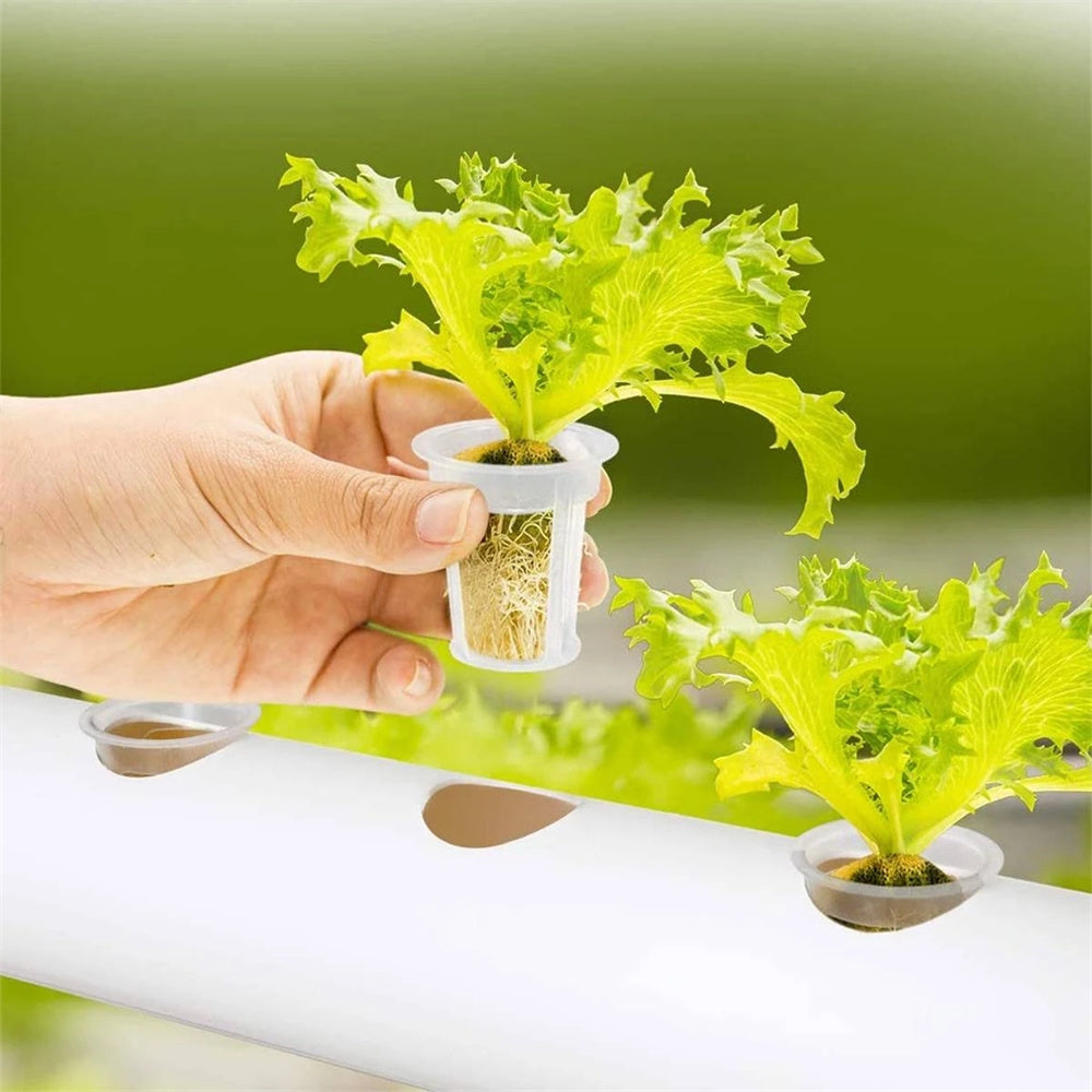 108-Site Hydroponic Grow Kit with Wheels - Indoor Vegetable Garden System for Home, Greenhouse & Urban Farming | Easy Setup & Space-Saving Design
