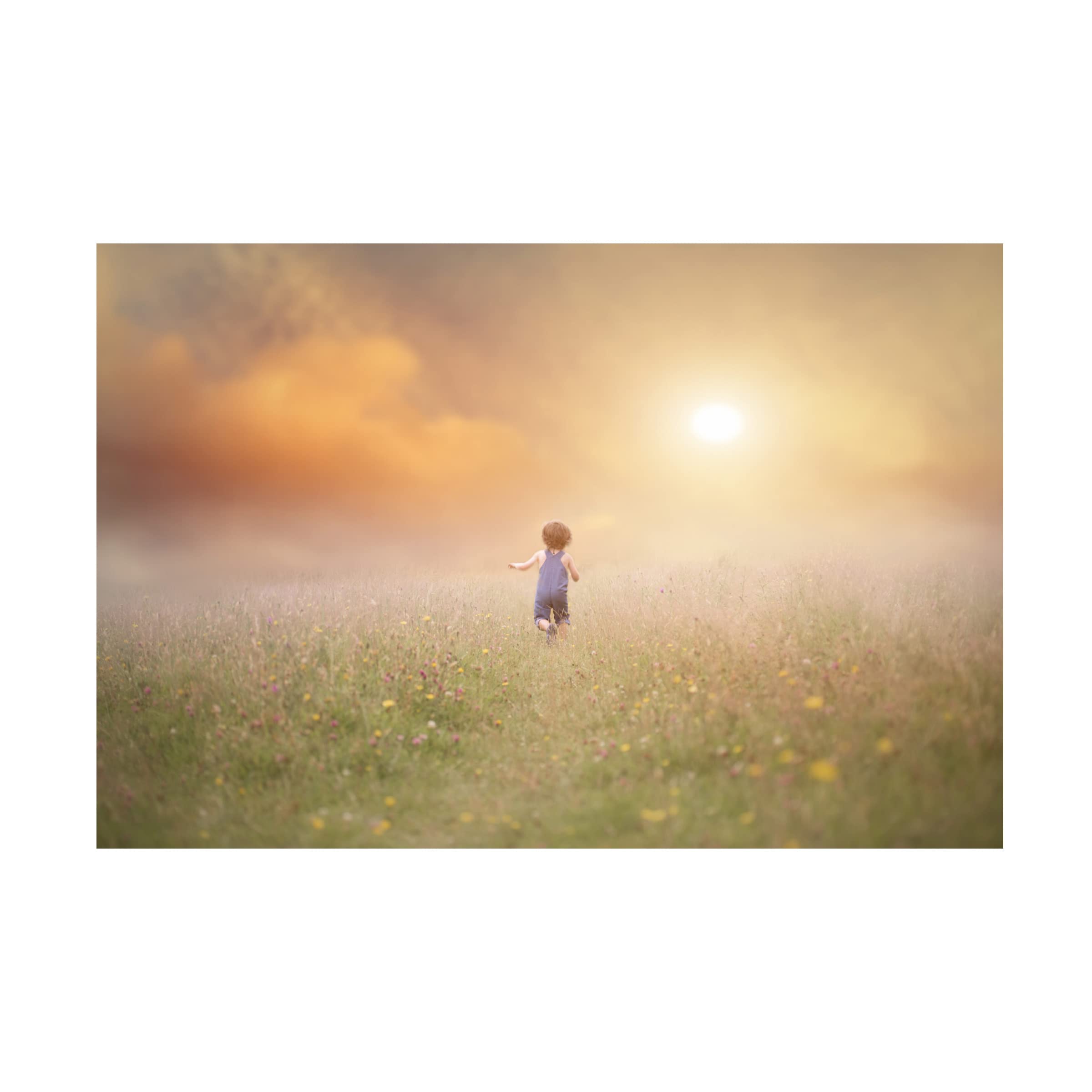 Trademark Fine Art 'Run' Canvas Wall Art by Lynne Williams - Modern Home Decor for Living Room, Bedroom & Office