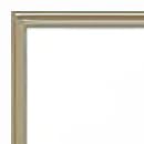 Brushed Champagne Aluminum Frame