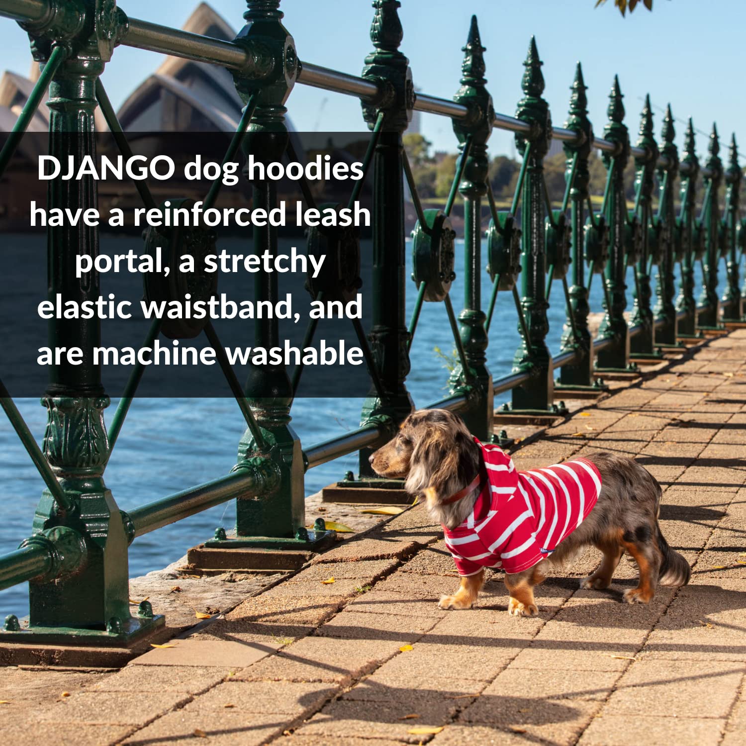 DJANGO Dog Hoodie - Soft, Stretchy & Cozy Winter Sweater for Small Dogs - Dachshund Hooded Sweatshirt with Elastic Waistband & Harness Hole - Machine Washable Red Dog Clothes for Cold Weather - Perfect for Outdoor Walks, Pet Photos & Indoor Lounging