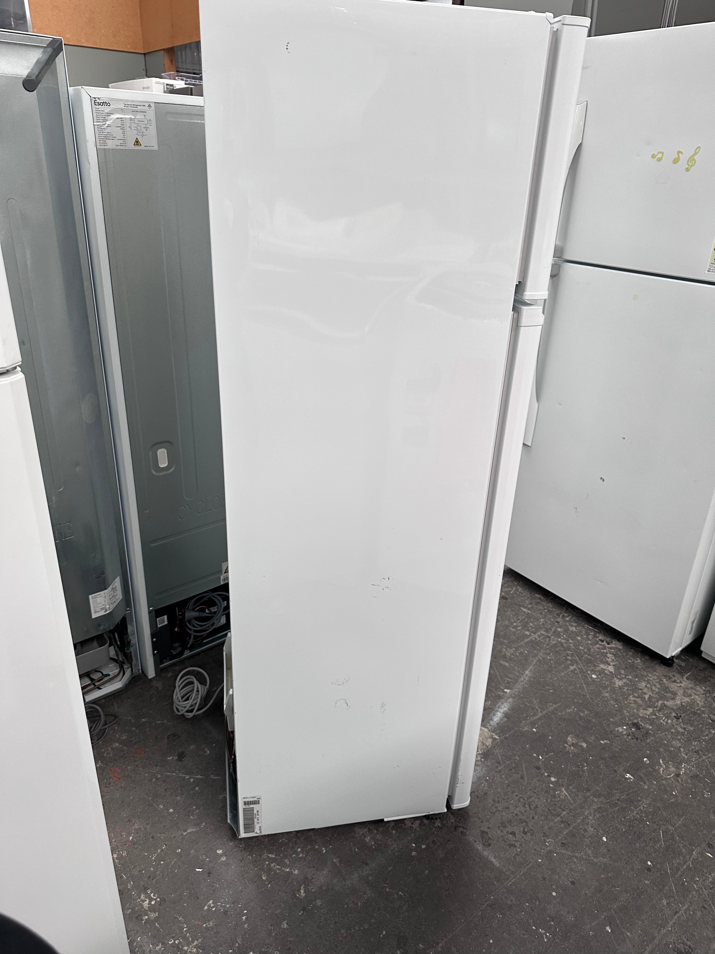 Fisher & Paykel 249L Top Mount Refrigerator - Energy Efficient, Stainless Steel, Quiet Operation [Certified Refurbished] - Perfect for Small Kitchens, Apartments & Office Break Rooms