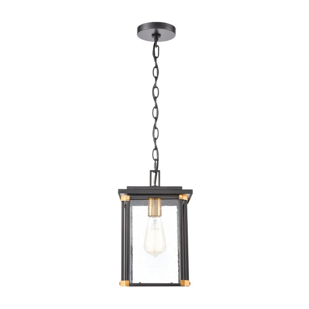 Rectangular One Light Outdoor Hanging Lantern Ceiling Light with Brass Accents - Exposed Bulb Pendant Light in Matte Black/Brushed Brass Finish for Porch, Patio & Garden Decor