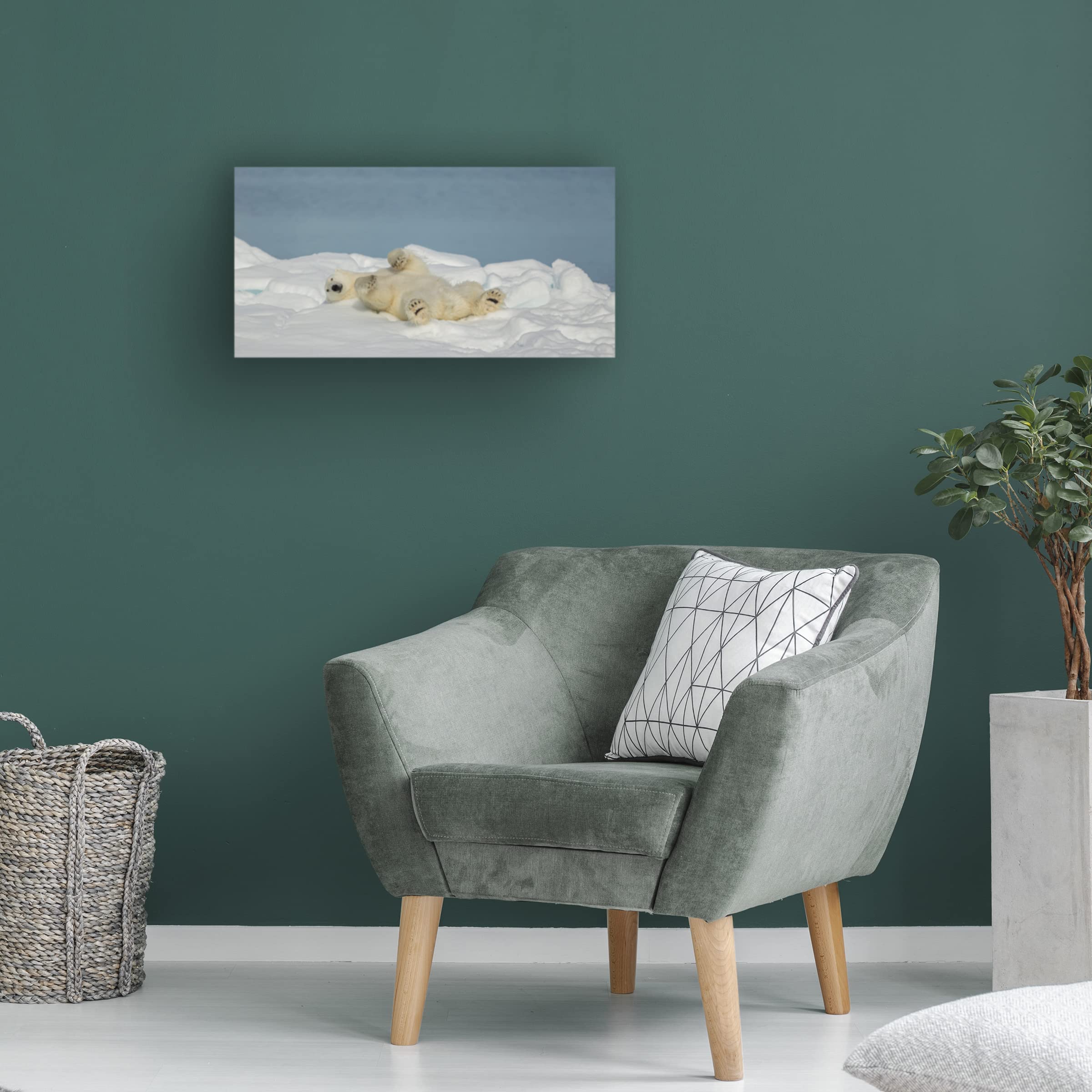 Trademark Fine Art 'Polar Bear in Relax' Canvas Wall Art by Joan Gil Raga - Stunning Wildlife Home Decor for Living Room, Bedroom & Office