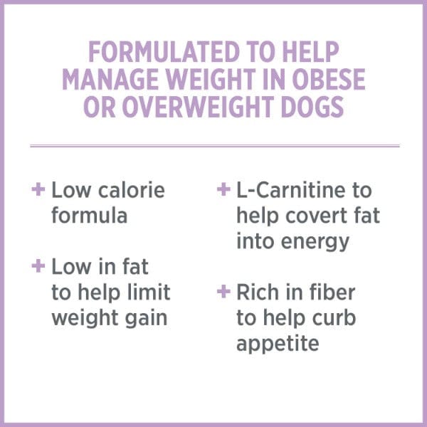 Nutrience Care+ Weight Management Dry Dog Food - High Protein, Low Fat Formula for Healthy Weight Loss - Perfect for Overweight or Less Active Dogs