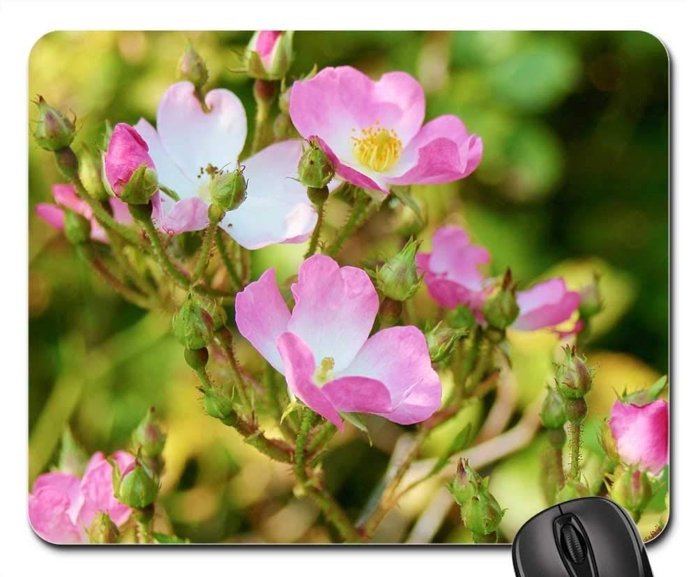 Premium Gaming Mouse Pad with Non-Slip Base - Large Extended Mouse Mat Featuring Dog Rose (Rosa Canina) Wild Rose Design - Perfect for PC Gaming, Office Work & Home Computer Setup