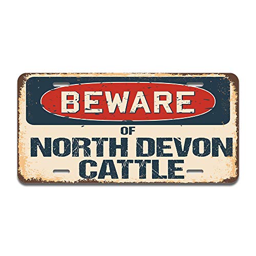 Beware of North Devon Cattle