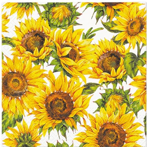 Dancing Sunflowers