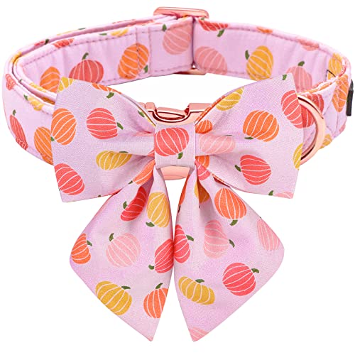Pink pumpkin