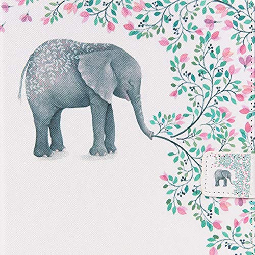 01# White Elephant Flower