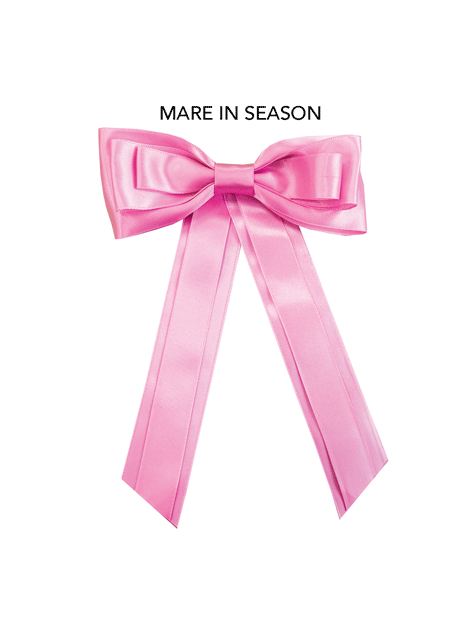 Competition Warning Tail Ribbon - High Visibility Safety Ribbon for Sports Events, Dog Shows & Outdoor Activities