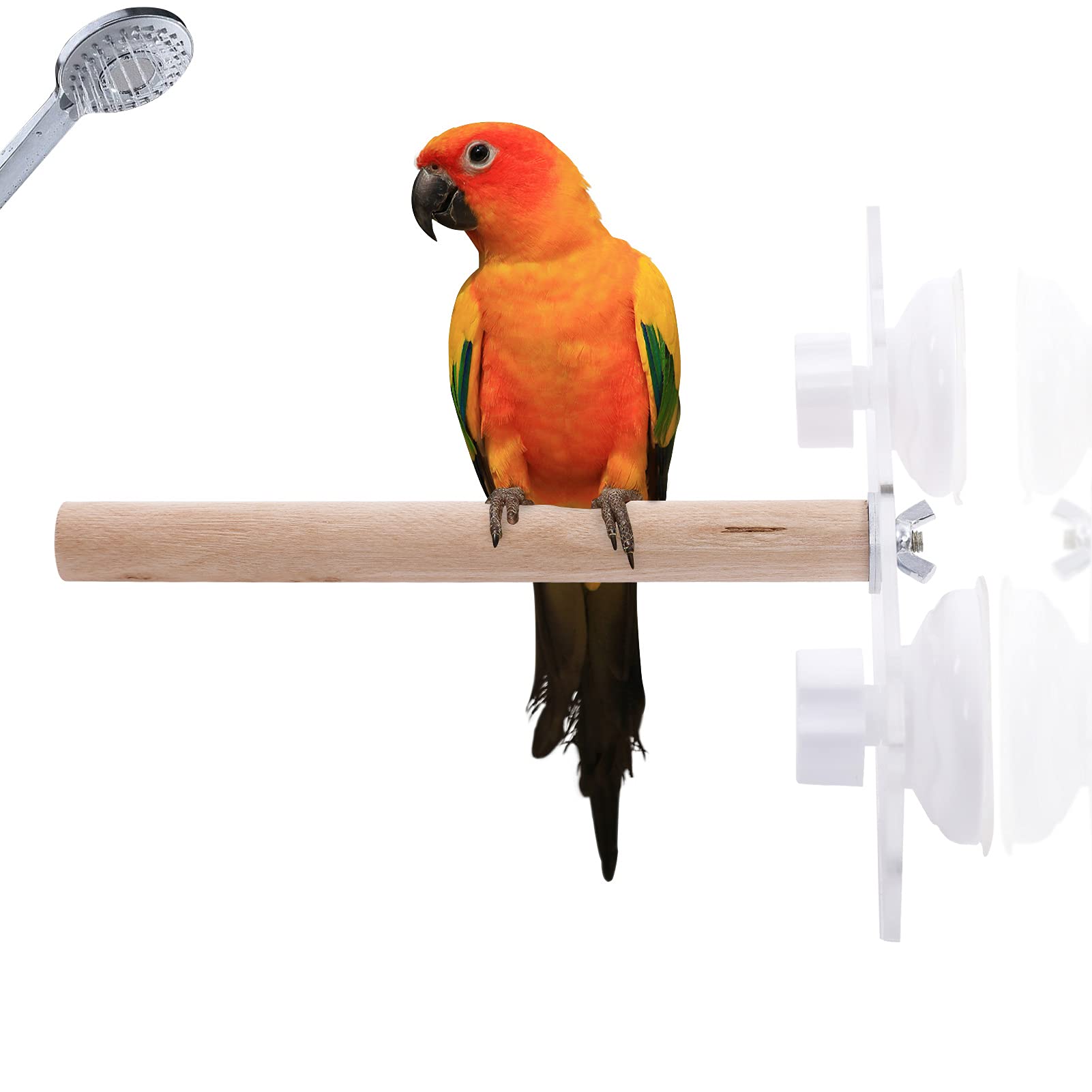 Bird Wood Shower Perch with Suction Cup - Natural Wooden Bird Stand for Parrots, Parakeets & Cockatiels - Safe for Bathing, Cage & Window Use - Perfect for Indoor & Outdoor Bird Play Areas