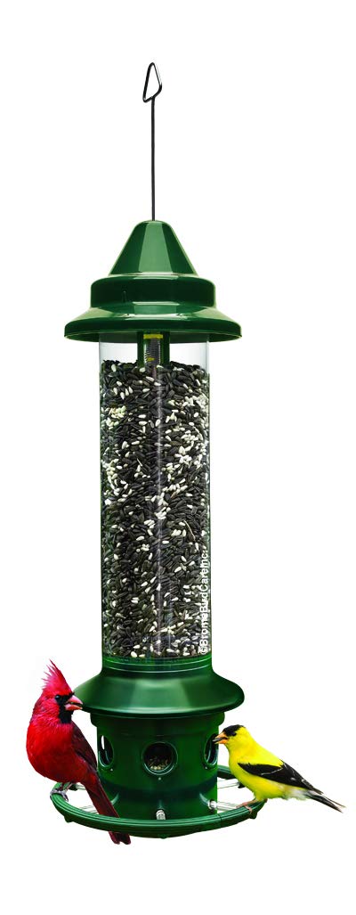 Squirrel Buster Plus Bird Feeder with 25-Pound Wagner Black Oil Sunflower Seeds - Squirrel Proof Bird Feeder for Outdoor Garden, Yard & Backyard Bird Watching