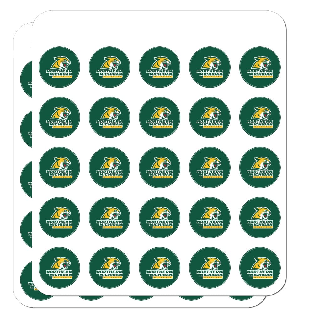 Northern Michigan Wildcats Logo 1