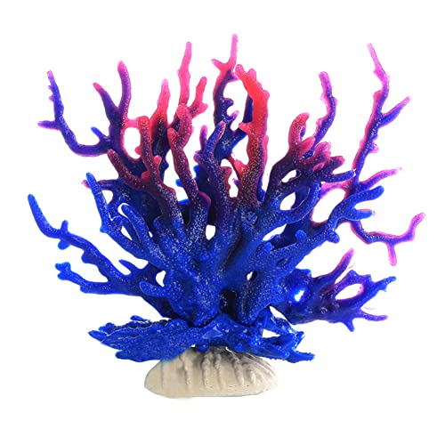 Ct107 Blue Purple
