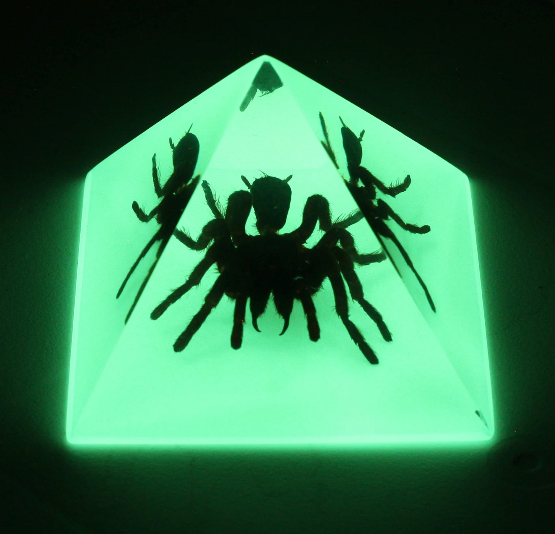 Real Tarantula in Acrylic Pyramid Paperweight - Glow in The Dark Display - Unique Office Desk Decor & Halloween Gift for Collectors & Horror Fans