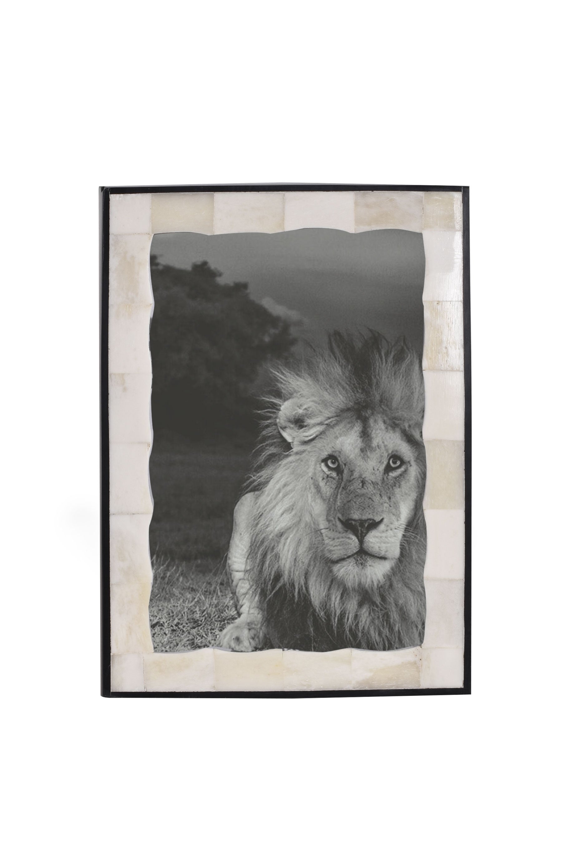Husk BONE FRAME - Stylish and Durable Picture Frame for Home Decor | Perfect for Living Room, Bedroom, and Office Wall Art Display