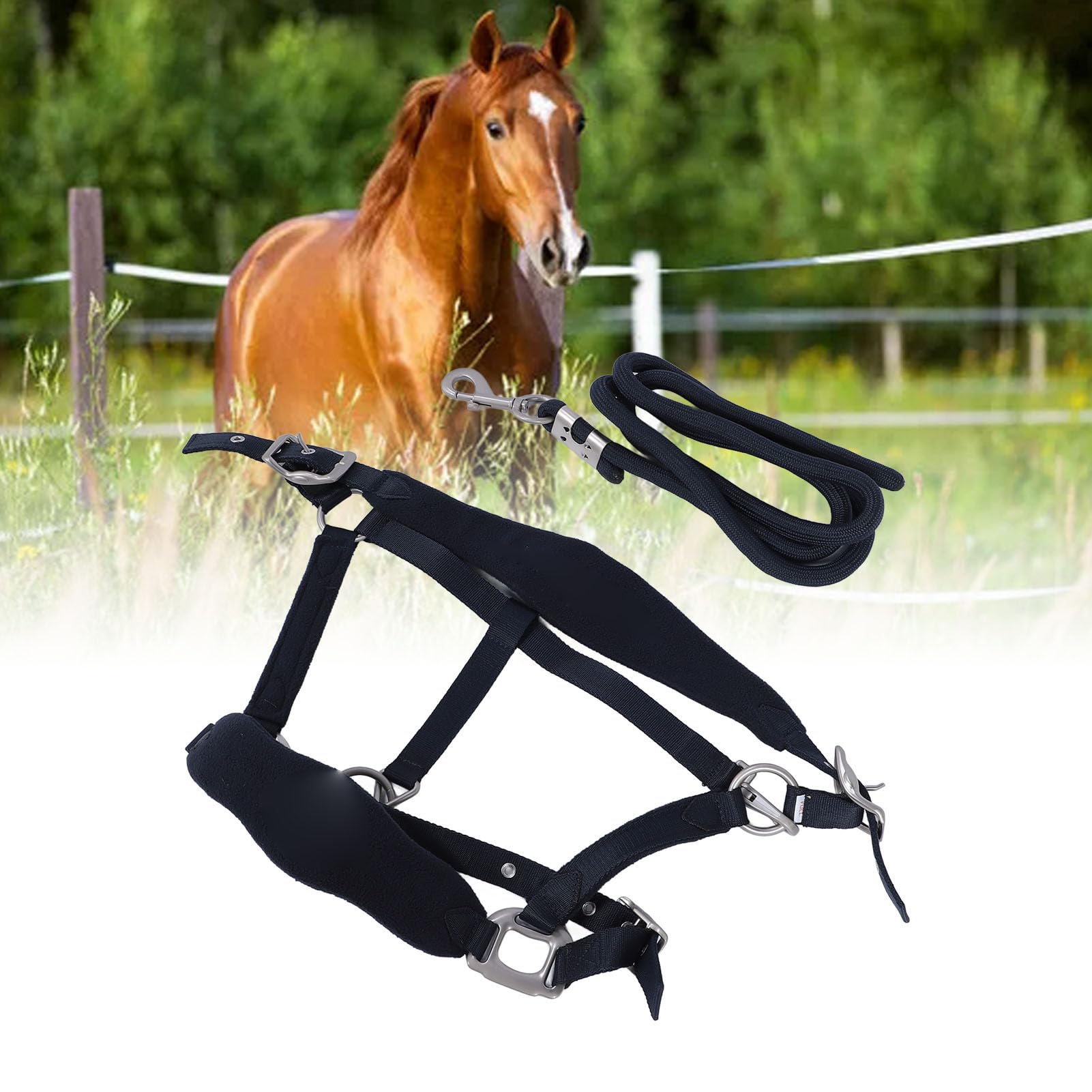 Professional Adjustable Horse Training Halter & Leash - Safe for Daily Use, Size M - Perfect for Equestrian Training, Trail Riding, and Stable Management