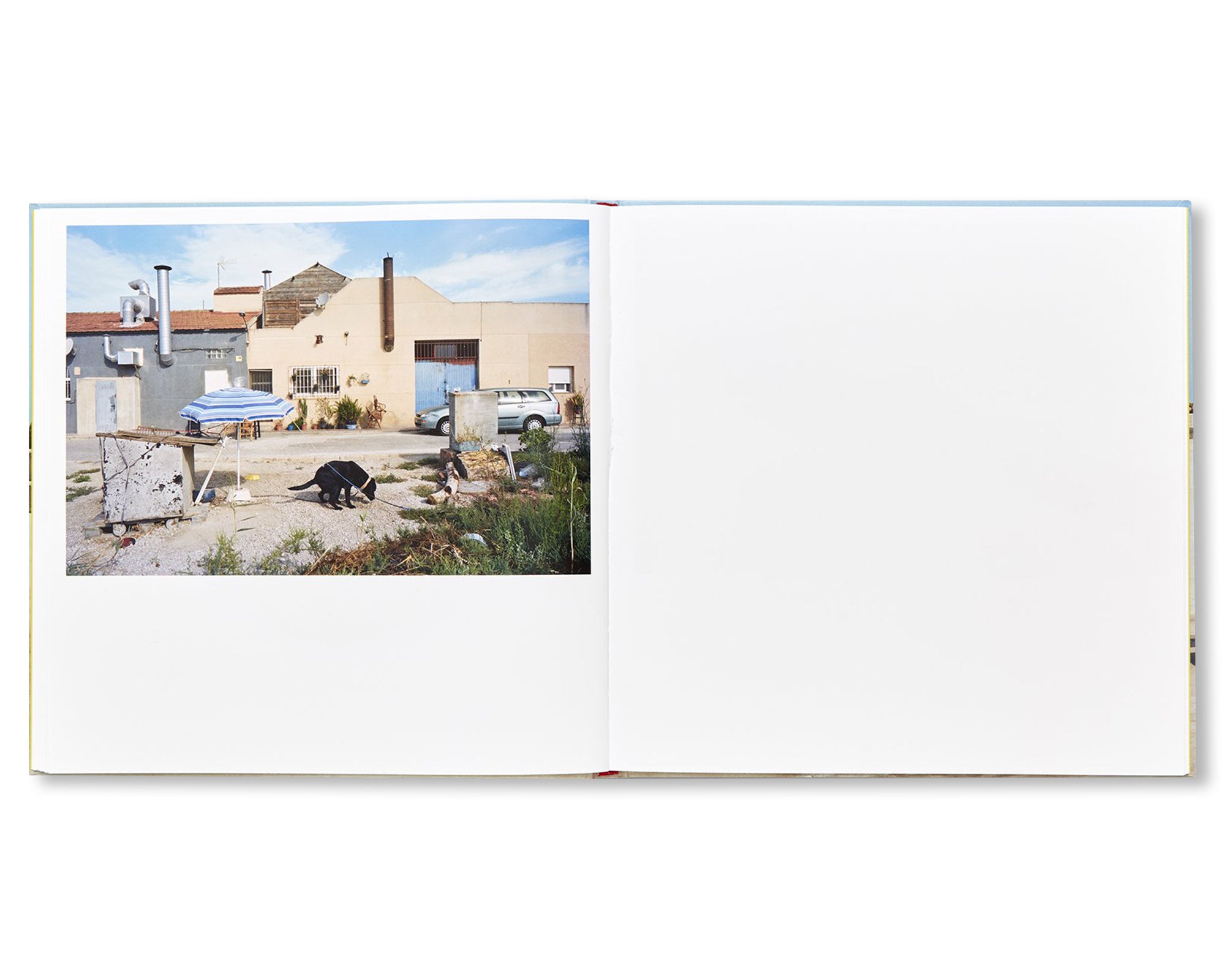 PERFECT DAY by Txema Salvans - Premium Photography Book for Art Collectors & Home Decor | Perfect for Coffee Tables, Living Rooms & Gifts