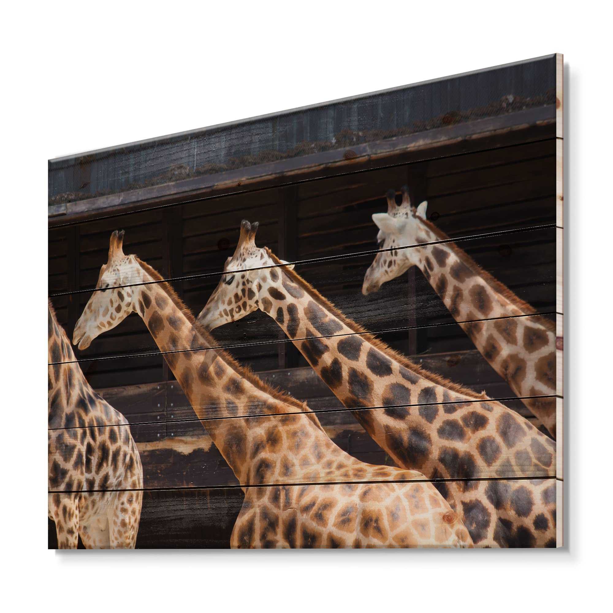DesignQ Three Giraffes Running Farmhouse Wood Wall Decor - Brown Wood Wall Art with Large Animal Prints on Natural Pine Wood - Perfect for Living Room, Bedroom & Nursery Decor