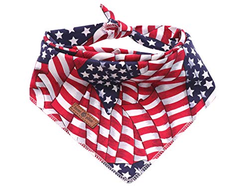 American Flag