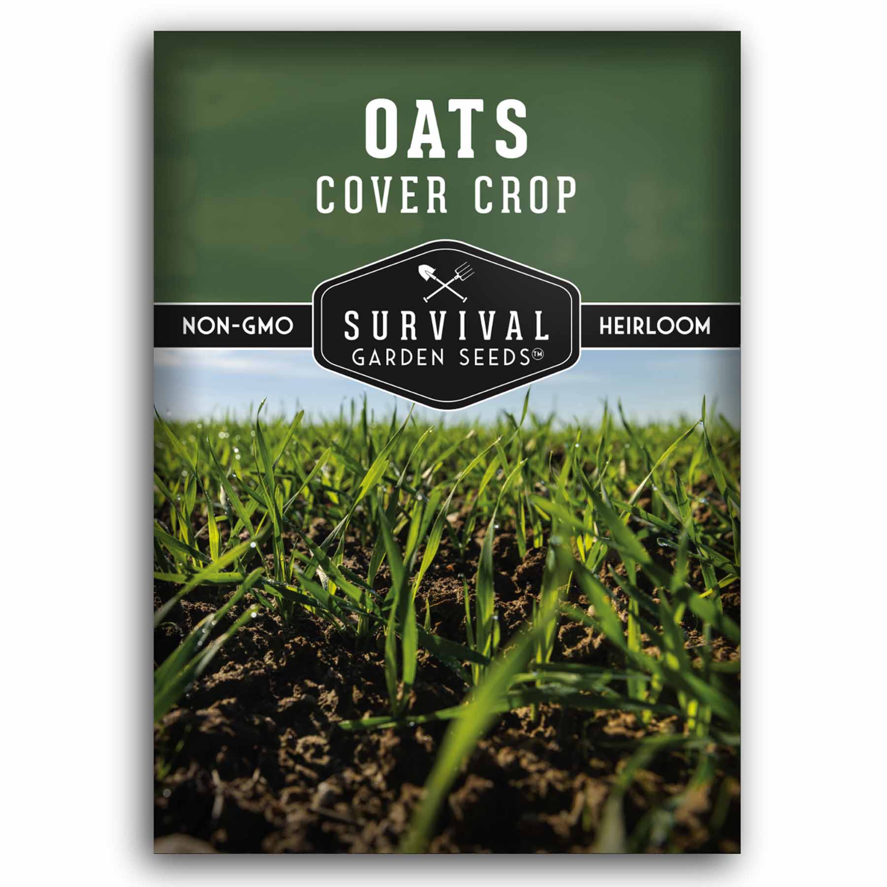 Organic Oat Seeds for Cover Crops - Improve Soil Health & Erosion Control | Perfect for Garden, Farm & Sustainable Agriculture