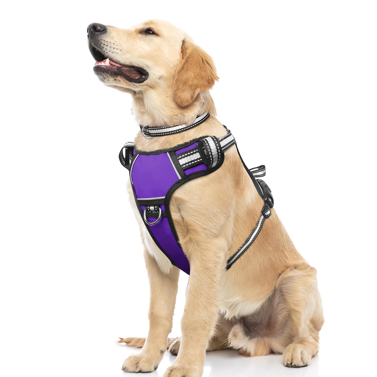 WINSEE No Pull Dog Harness with Adjustable Reflective Oxford Vest - Front & Back Leash Clips for Small, Medium, Large & XL Dogs - Easy Control Handle for Walking, Running & Outdoor Adventures