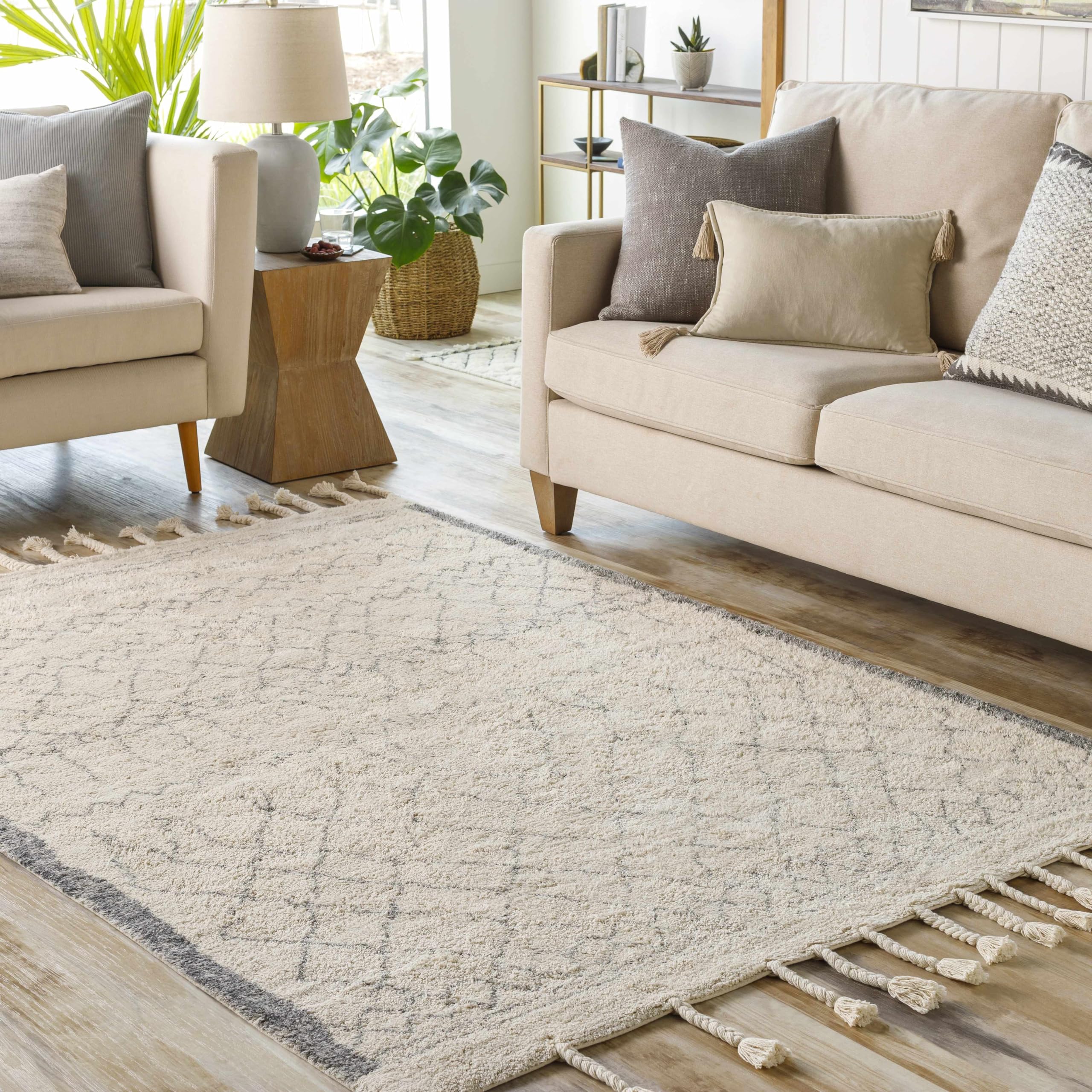 Bohemian Transitional Area Rug for Living Room & Bedroom - Gray & Cream 2'6