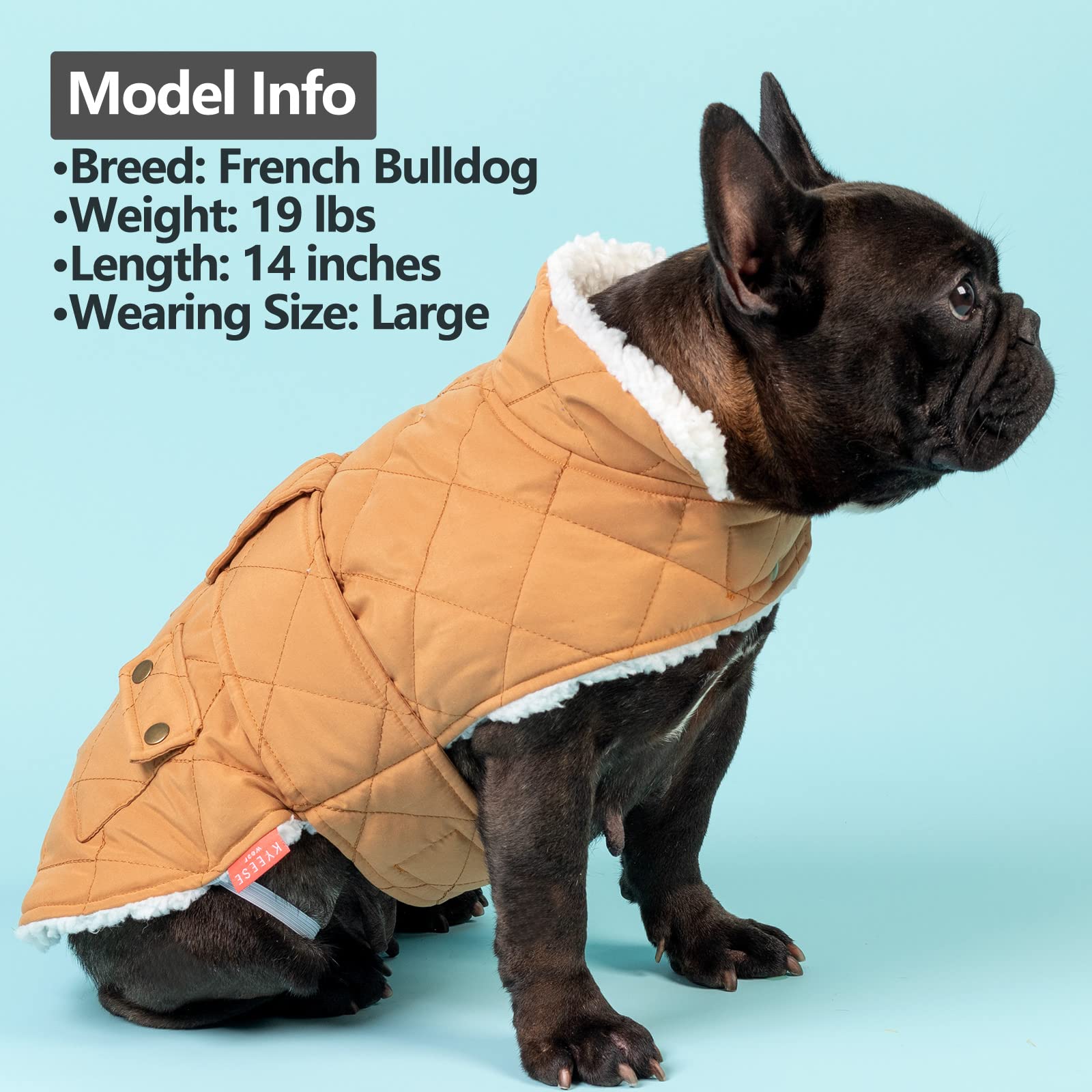 KYEESE Winter Dog Jacket - Windproof Padded Sherpa Dog Vest with Leash Hole for Small Dogs | Cold Weather Coat for Chihuahua, Pomeranian, Yorkie | Outdoor Walking & Winter Adventures (Yellow)