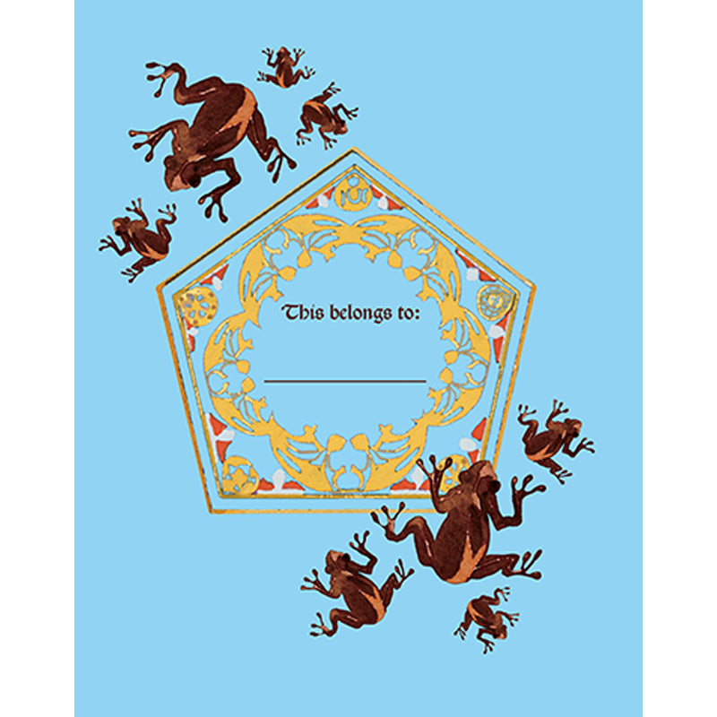Harry Potter Chocolate Frog Squishy Lock & Key Diary - Magical Journal for Kids & Teens, Perfect for Collectors, School Use & Secret Keeping